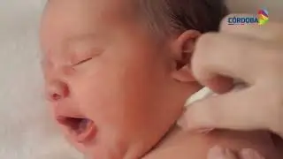 Maternidad Provincial se ampliará un 30 la capacidad de camas de neonatología   Video Prensa   Gobie