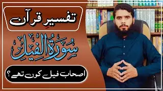 Surah Al Feel || Ashabul Feel || Amul Feel || Complete Surah || Noble Alliance || Eng. Hafiz Saad ||