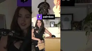 what's in the belt.... | palmbee on #Twitch