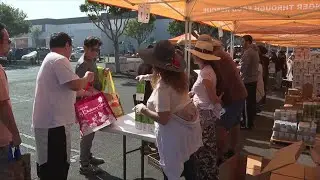 Feeding San DIego supports families with food distribution during government shutdown