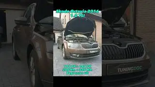 Skoda Octavia 1.0 TSI | Stage 1 #chiptuning | Tuningdoc