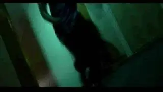 VIFVF 2006 Trailer