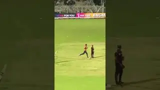 robot dog for player safety #shorts #match #ipl