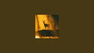 United In Grief, Count Me Out, Mother I Sober Intros | (Slowed + Reverb) Looped