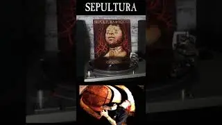 Sepultura - Roots Bloody Roots #shorts #sepultura #vinyl #vinyladdiction #vinylcollection