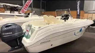 Pacific Craft Open 540 - pour la pêche et les loisirs familiaux