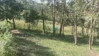 CLEANING THE ENVIRONMENT AT HOME 