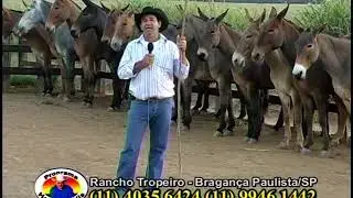 Gigio Biaseto - Formação de Tropa - Rancho Tropeiro - Bragança Paulista/SP. 2007