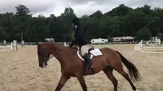 Kingston Jump Course 1 tristate.mov