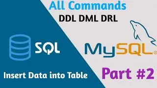 Insert Data into Table || MySQL Commands || DDL | DML | DRL Commands