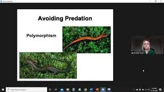 Lab 7 - Animal Ecology