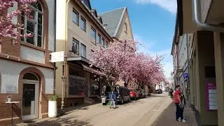 Hofheim am Taunus ( Germany)