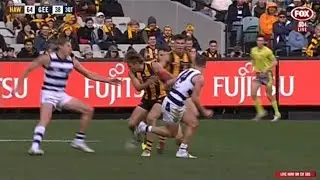James Worpel Hawthorn Highlights