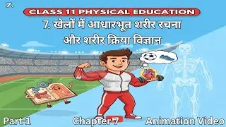 Class 11 Physical Education Chapter 7 | Basic Anatomy and Physiology in Sports Animation
