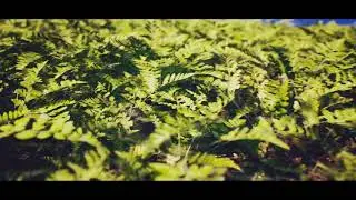 Unreal Engine 4 Test