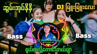ဆွမ်းအုပ်နီနီ Remix - DJ Than Tun Aung Offical (ရှယ်ကလို့ကောင်တယ်နော်) ✔