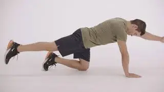 How to do a Bird Dog | Proper Form & Technique | NASM