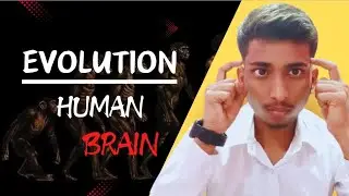 Evolution of Human Brain | Reptilian brain Limbic brain and neocortex brain