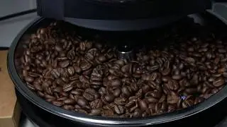 Roasting our 1st Edition Micro Batch - BLKcity coffee vlog