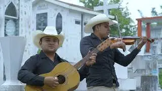 Dos Almas - Trío Mezquite