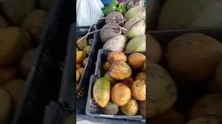 Banca na feira muitas frutas.verduras farinha .goma de tapioca #amazonica #par&aacute; #verdura #shorts