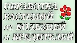 Обработка сада от болезней и вредителей.