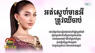 អត់ស្នេហ៍មានអីត្រូវឈឺចាប់ - ឌី សូនីតា​ [LYRIC AUDIO]