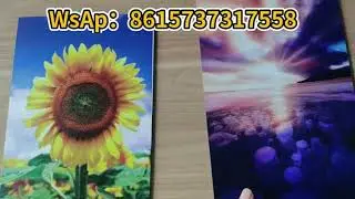 UV Printing Panel/ Aluminum composite panel