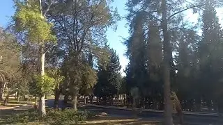 Kfar Hazir 4- Koura District- North of Lebanon- بلدة كفر حزير ٤- قضاء الكورة- محافظة شمال لبنان 