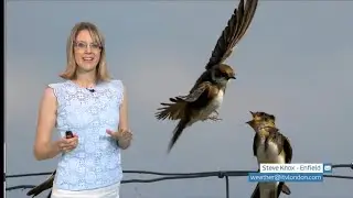 July weather pictures with Sally (dinner time & flowers) (UK) - ITV London weather - 14th July 2020