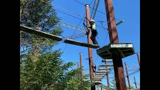 Мудрость Мудрость [22]: Две формы интеллекта (#AtlantisBuild)