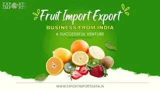 Fruit Import Export Business From India: A Successful Venture