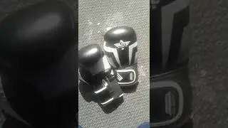 ELITE SPORTS FIGHT GEAR REVIEW W. GIANNI THOMAS