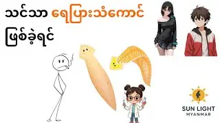 သင်သာ ရေပြားသန်ကောင် ဖြစ်ခဲ့ရင်