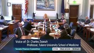 AK SB 181-Invited Testimony: Dr. Charles Zeanah, Tulane University School of Medicine