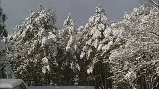 Winter Snow Storm March 22  - March 24,  2018