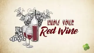 Erwan's Product Review: Know Your Red Wine