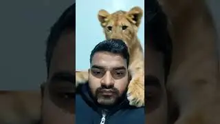 #tutorial line filter #tranding youtube ai filter nice 🎉🎉#viral #motivation #trending #funny 👍🙏