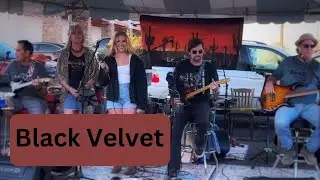 Black Velvet Cover