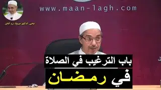 باب الترغيب في الصلاة في رمضان - الدكتور مبروك زيد الخير