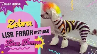 Lisa Frank&ndash;Inspired Zebra Print Creative Dog Grooming Live Tutorial
