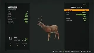 theHunter: Call of the Wild buck