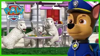 Skye and Chase Save the Farm Animals - PAW Patrol - Cartoons for Kids