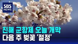 진해 군항제 오늘 개막…다음 주 벚꽃 '절정' / SBS