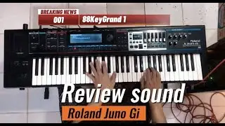 Roland Juno Gi Review ‼️