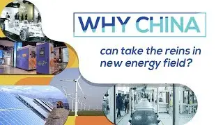 Why has China become world leader in renewable energy?