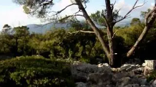 le poste &agrave; grives