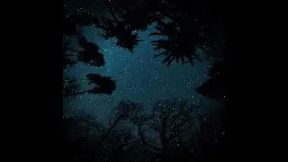 『FREE/フリートラック』無料営利使用可能 Hip Hop Boom Bap Chill Type Beat『Nostalgic』