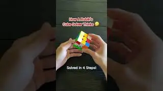 POV of a Rubik&rsquo;s Cube Solver!