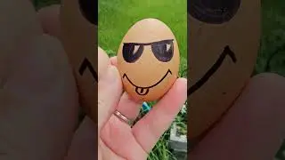 #яйцо #egg #fun #happyegg #iloNegg #eggy #funnyvideos
